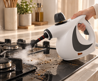 Handheld Steam Cleaner